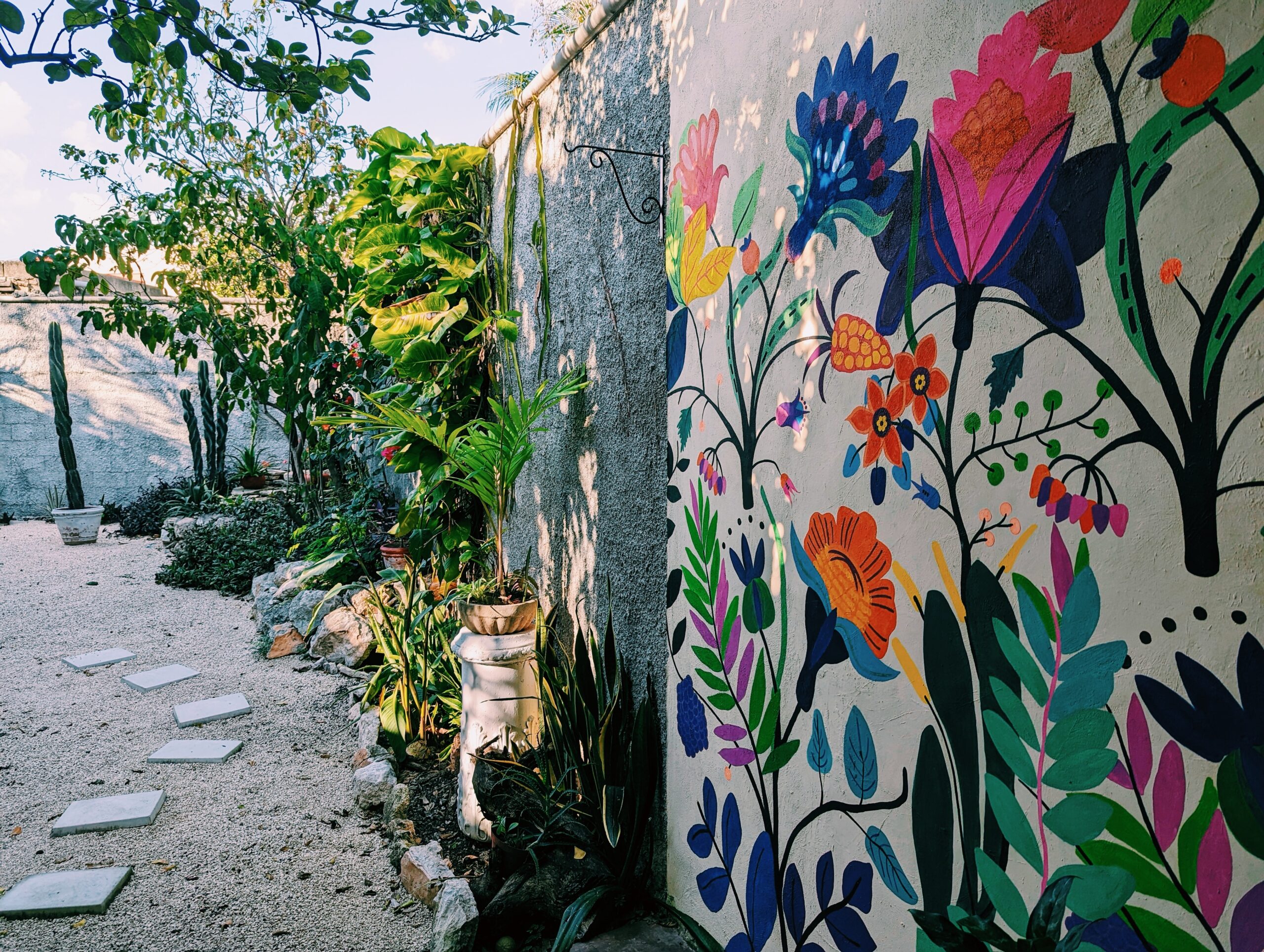 Garden of Airbnb in Merida
