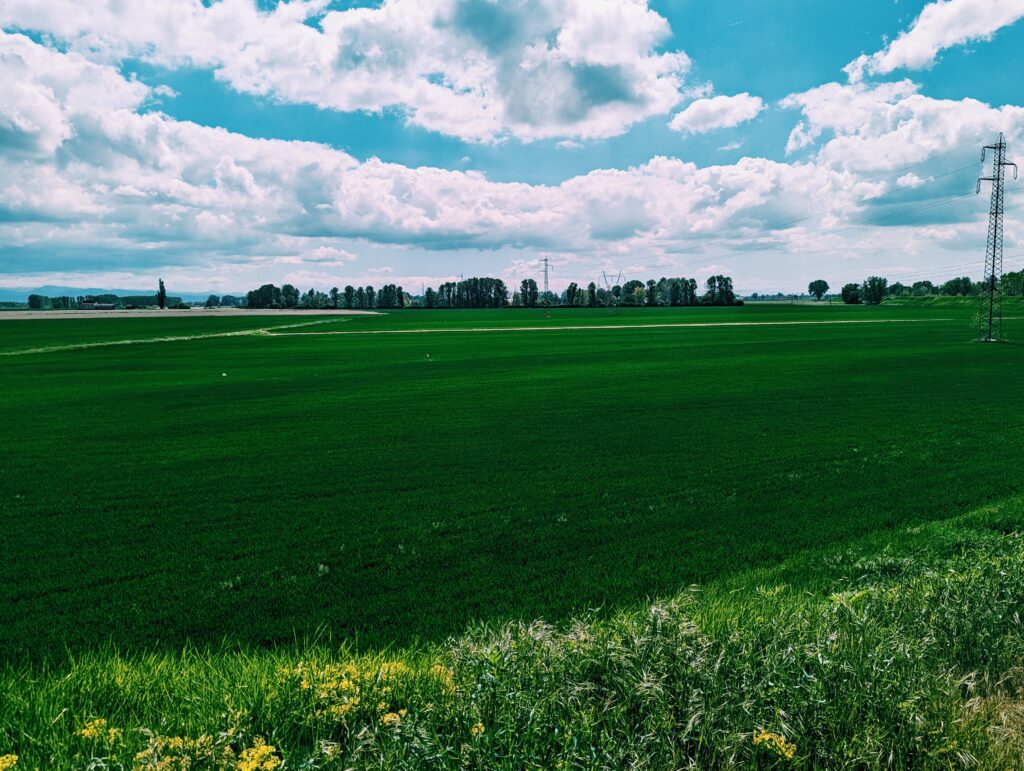 Green fields blue skies with scattered clouds