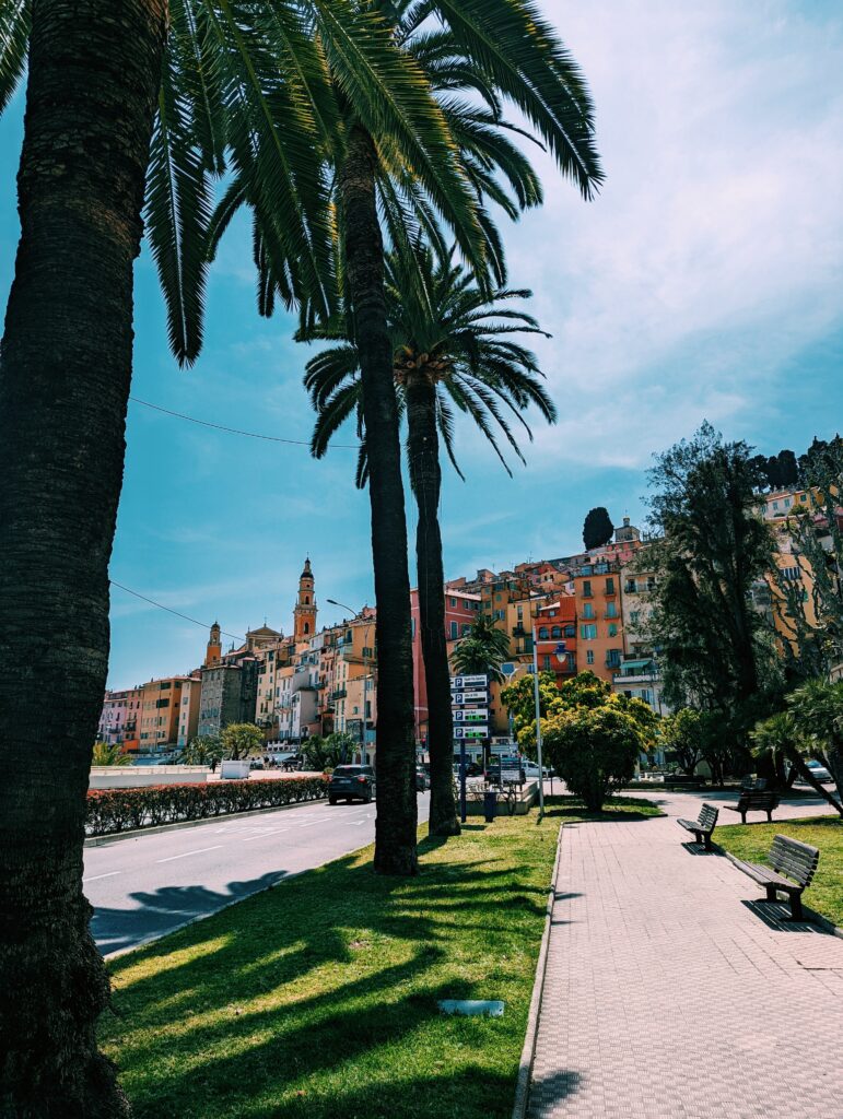 Palm trees in the foreground the old town of Menton in the background