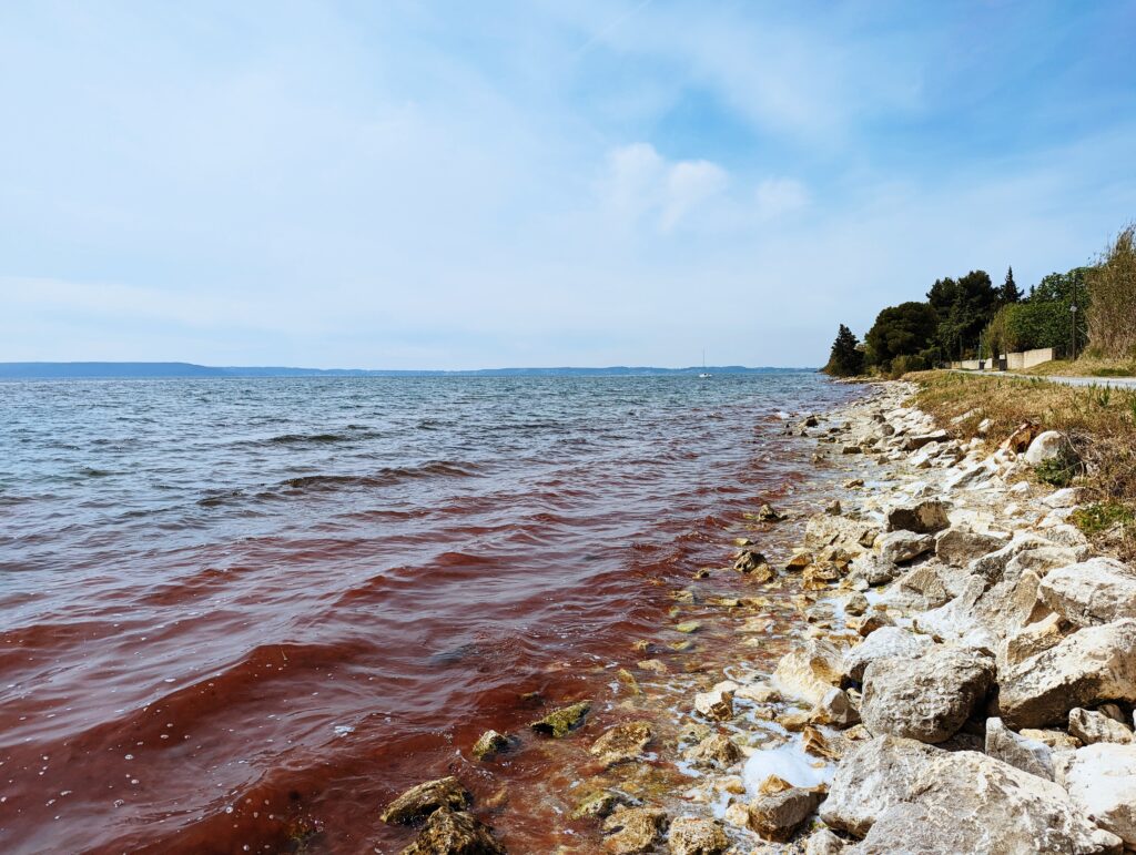 Red water on the shore of Étang de Berre