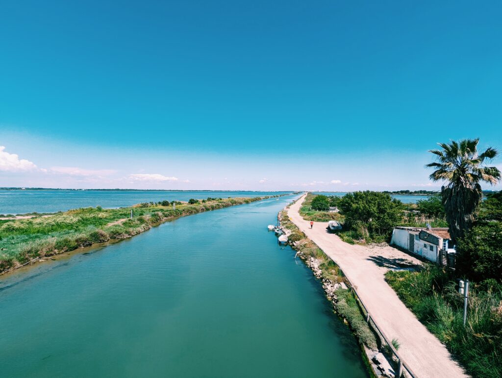 Looking out onto Étang d'Or near Montpellier a quai with a palm tree in the right foreground