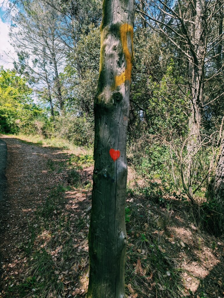 A tree trunk with a red heart painted on
