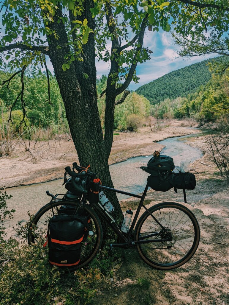 My bike leaned against a tree along Cardener river hills with pine trees in the background