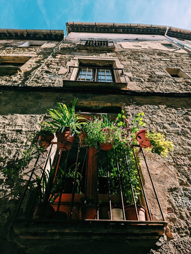 Picture up a house wall with a balcony with many plants on the first floor