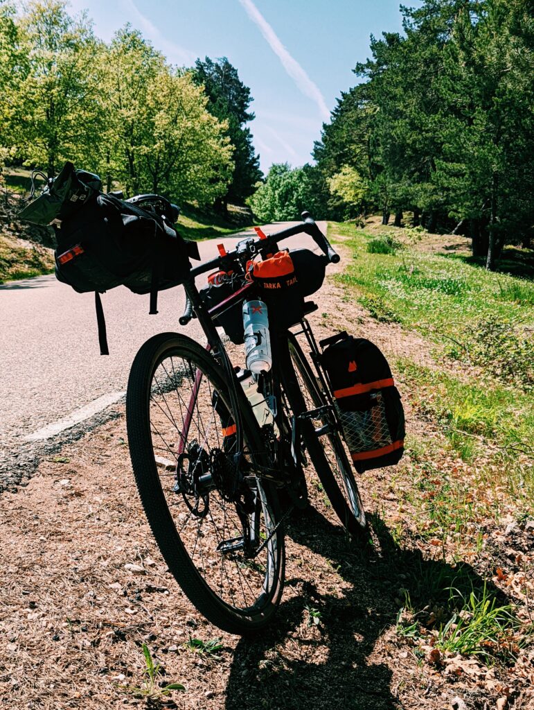 My bike standing next to the road in the pine forest on a mountain