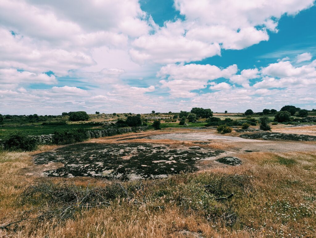 Rocky fields with olive and oak trees cloudy skies with a little of blue sky showing.