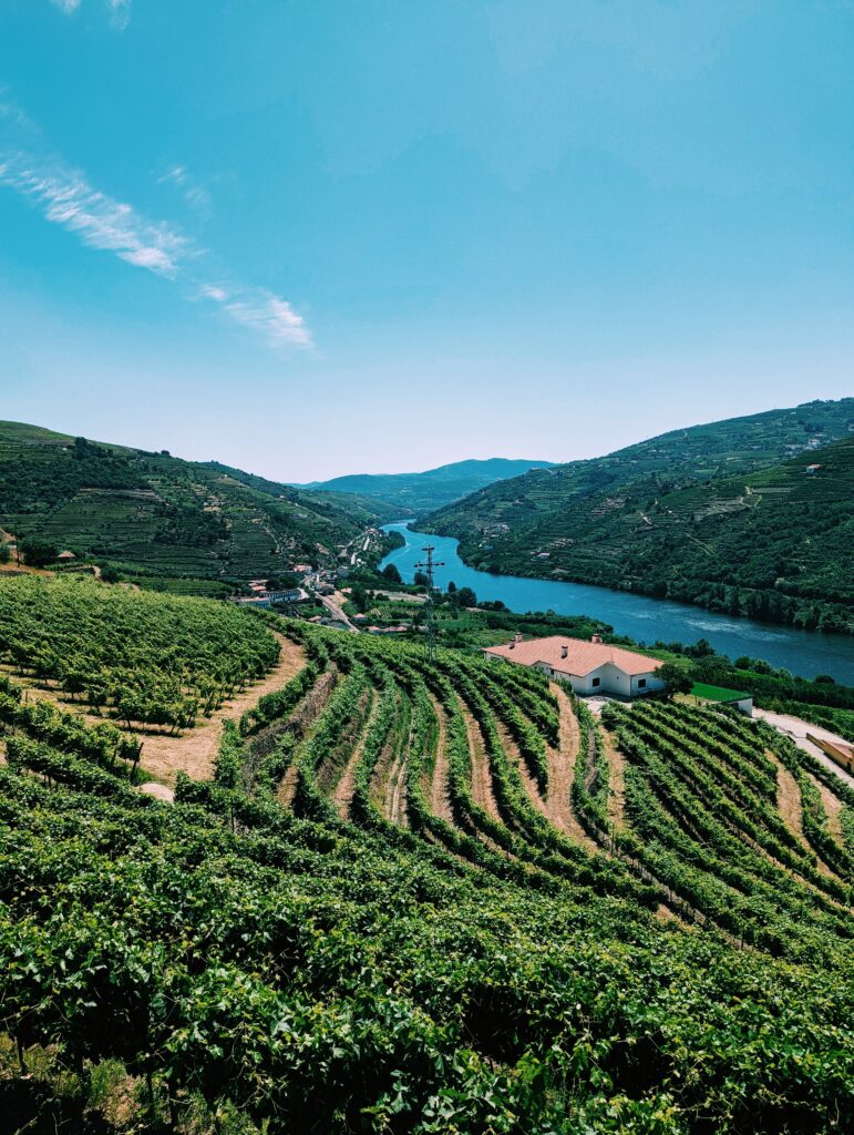 Douro Valley with vinyards on either side. Green hills and blue skies.